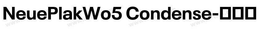 NeuePlakWo5 Condense字体转换